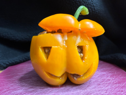 small Halloween pepper
